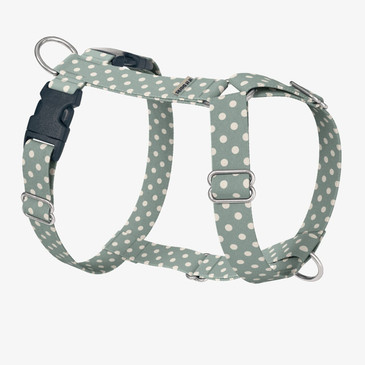 front view of harness front view of harness